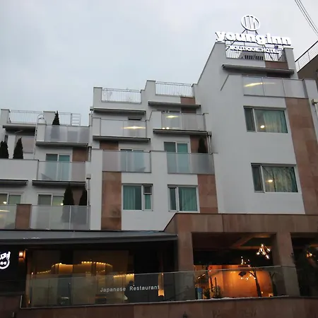 The Hotel Young Inn